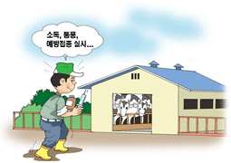 가축 및 축시관리는 소독 통풍 예방접종 실시
